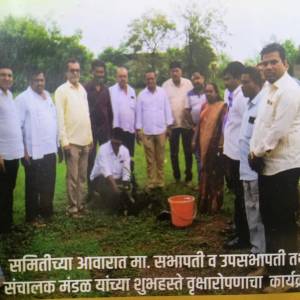 8708559c-d97e-46a5-9b28-1681b973e7c8_original